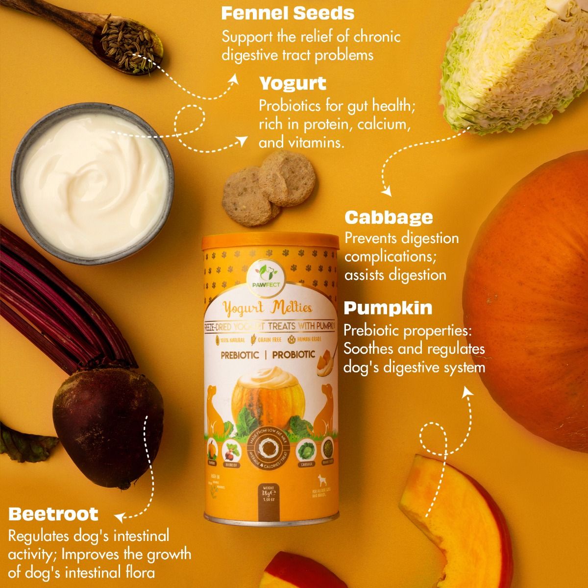 Pawfect Yogurt Melties - Pumpkin (38g)