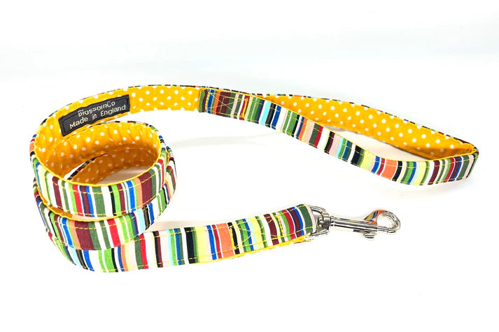 Blossom and Co Dog Collars and Lead Rock Collection
