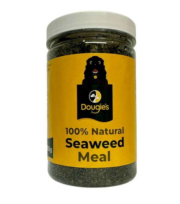 Dougie's Seaweed Meal Powder Supplement (300g)