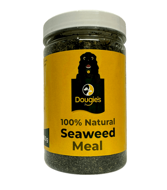 Dougie's Seaweed Meal Powder Supplement (300g)