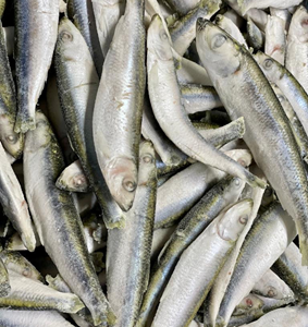Dougie's Frozen Sprats (1kg) *LOCAL DELIVERY & CLICK AND COLLECT ONLY*