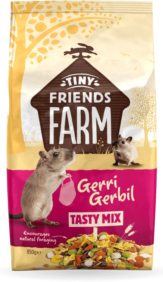 Geri Gerbil Tasty Mix (850g)