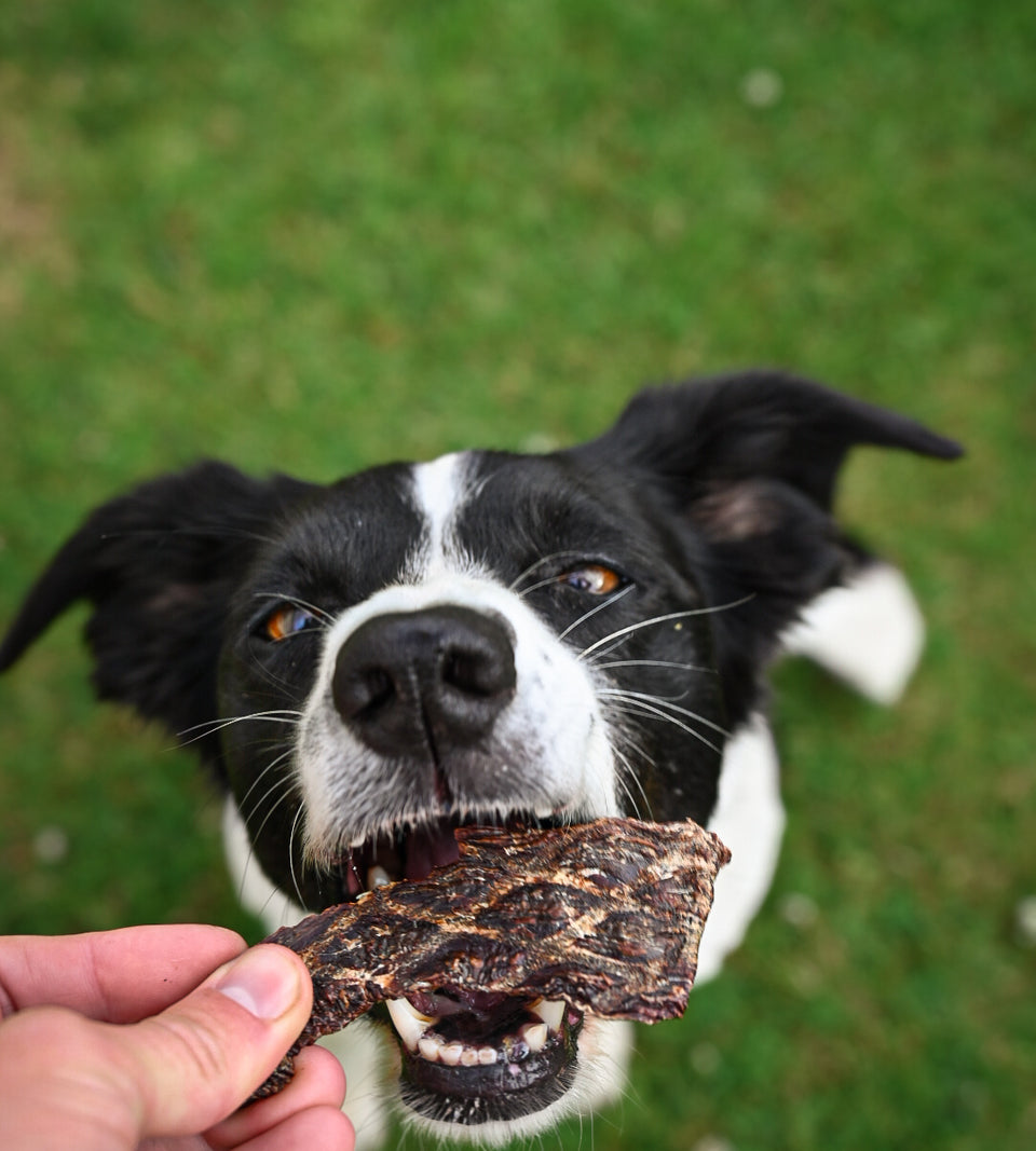 Anco Naturals Ostrich Prime Steaks (80g)