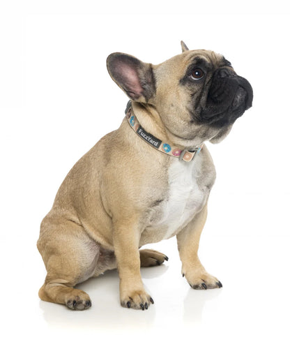 Go Nuts Fuzzyard Life Dog Collar