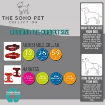 Ancol Soho Daisy Dog Lead and Collar Collection