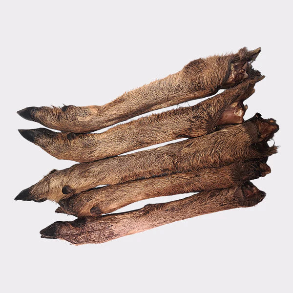 Venison (Deer) Legs with Fur