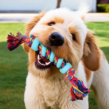 Durable Rubber Rope Dog Toy