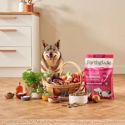 Forthglade Cold Press Salmon Dry Dog Food (2kg)