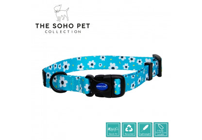 Ancol Soho Daisy Dog Lead and Collar Collection