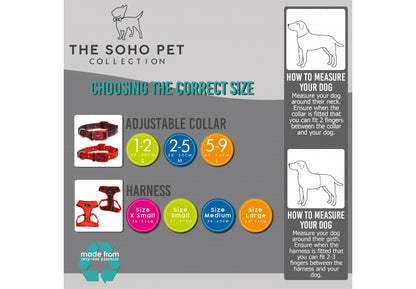 Ancol Soho Polka Dot Daisy Dog Lead and Collar Collection