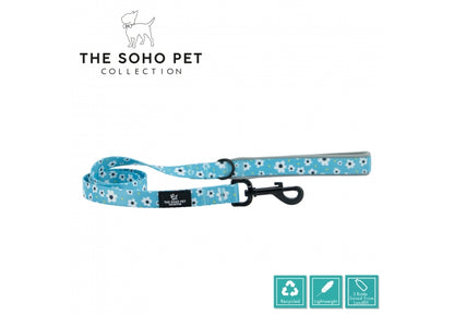 Ancol Soho Daisy Dog Lead and Collar Collection