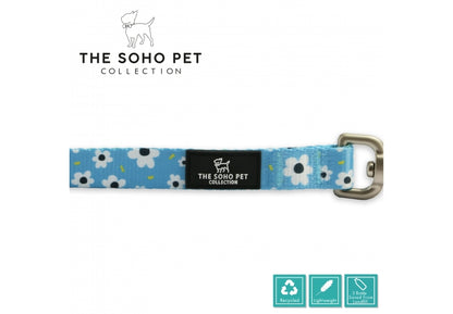 Ancol Soho Daisy Dog Lead and Collar Collection