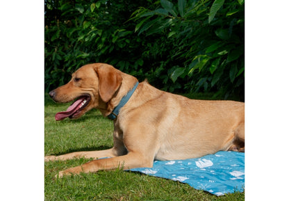 Ancol Large Cooling Mat for Dogs