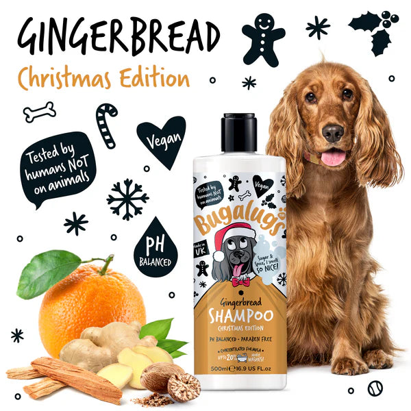 Bugalugs Christmas Edition Gingerbread Shampoo (500ml)