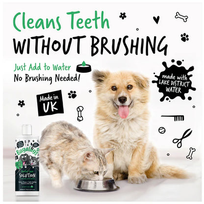 Bugalugs Dental Care Water Additive for Cats and Dogs (250ml)