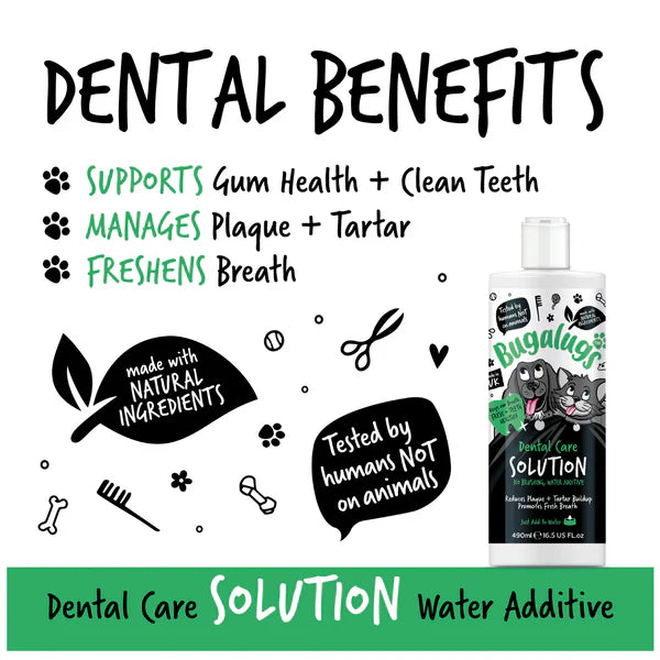 Bugalugs Dental Care Water Additive for Cats and Dogs (250ml)