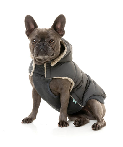 FuzzYard Life Essential Puffer