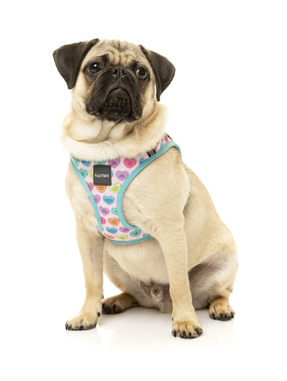 FuzzYard Life Candy Hearts Step In Dog Harness