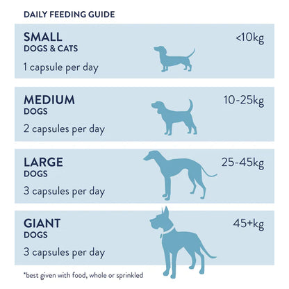 Dorwest Probiotic Plus for Dogs (100 tablets)