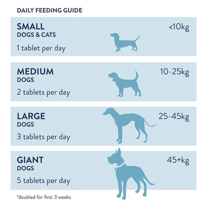Dorwest Garlic & Fenugreek Tablets for Dogs (100 tablets)