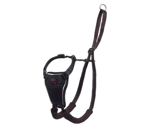Halti No Pull Harness