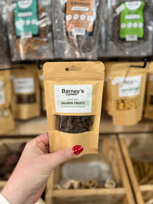 Barney's Training Treats - Salmon Treats (100g)