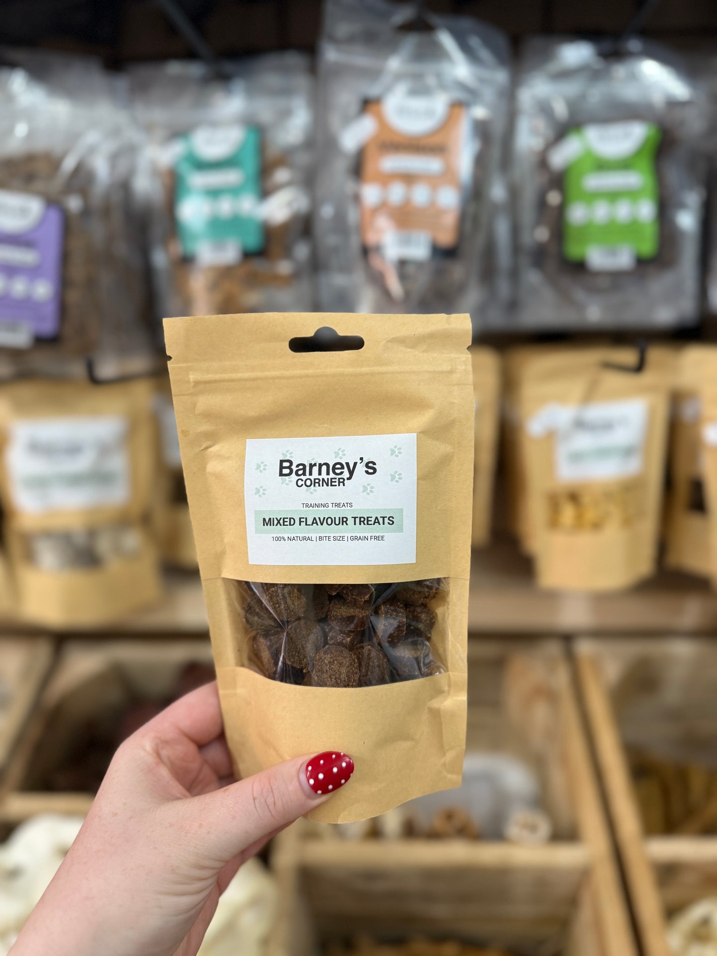 Barney's Training Treats - Mixed Flavour Treats (100g)