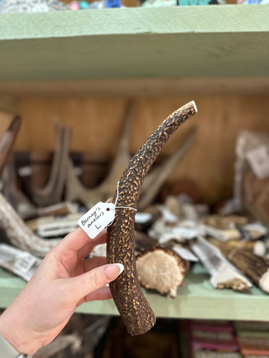 Barney's Whole Antlers