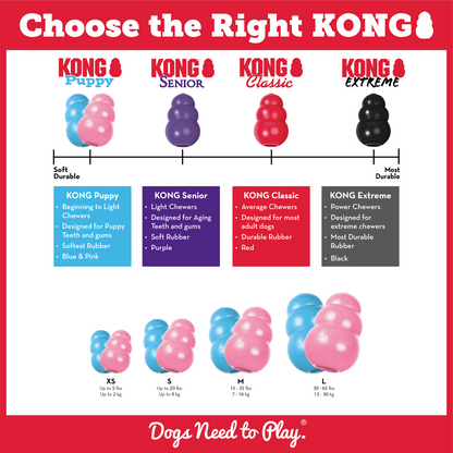 KONG Puppy Blue Medium