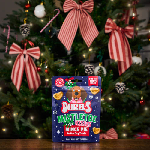 Denzel's Mistletoe Kisses Mince Pie Festive Dog Treats