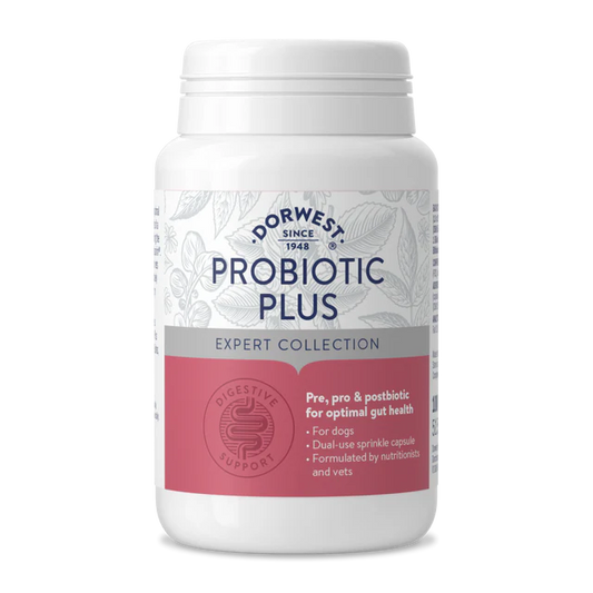 Dorwest Probiotic Plus for Dogs (100 tablets)