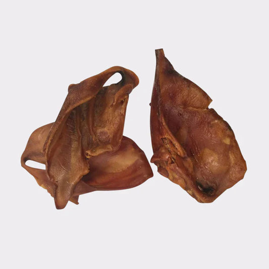 Giant Sow Ears
