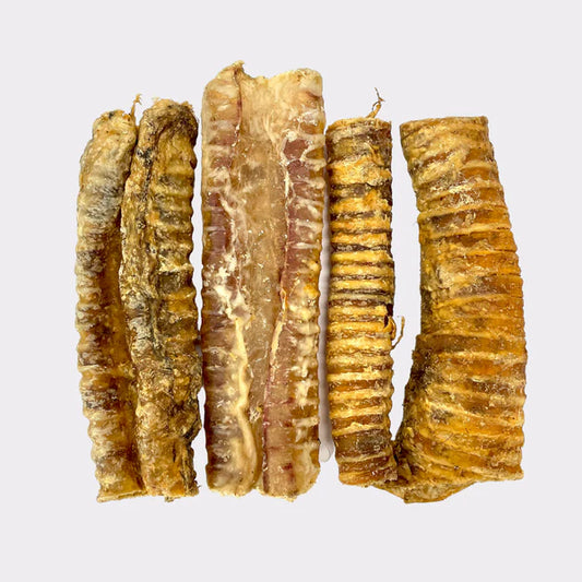 Trachea 'Gullet' (Cut)
