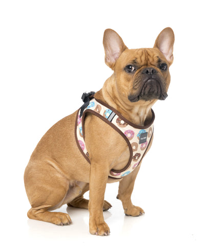 FuzzYard Life Go Nuts Step In Dog Harness