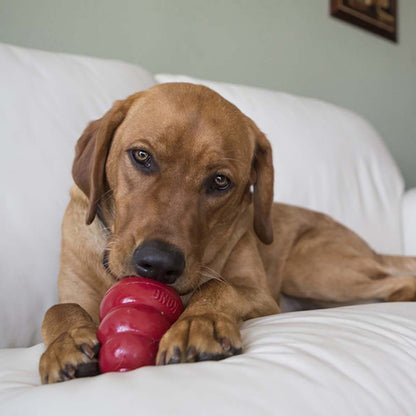 KONG Snacks Peanut Butter