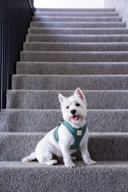 FuzzYard Life Step In Dog Harness