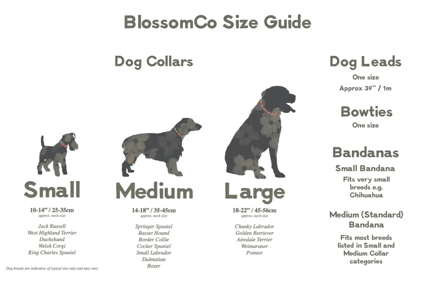 Blossom and Co Dog Collars and Lead Jack Collection