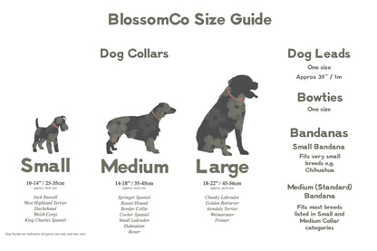 Blossom and Co Dog Collars and Lead Jack Collection
