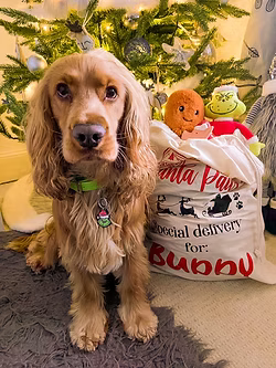 Grinch Dog Collar Charm