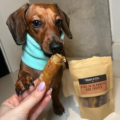 Hugo & Co Pigs in Blankets Dog Treats (80g)