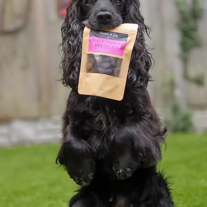 Hugo & Co Black Pudding Dog Treats (75g)