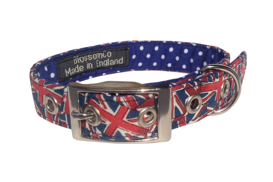 Blossom and Co Dog Collars and Lead Jack Collection
