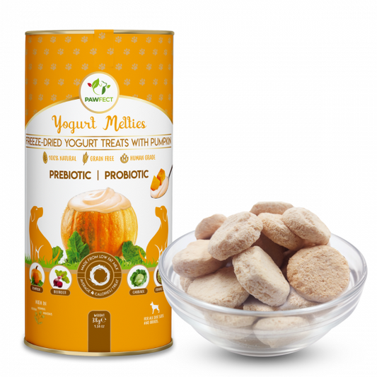 Pawfect Yogurt Melties - Pumpkin (38g)