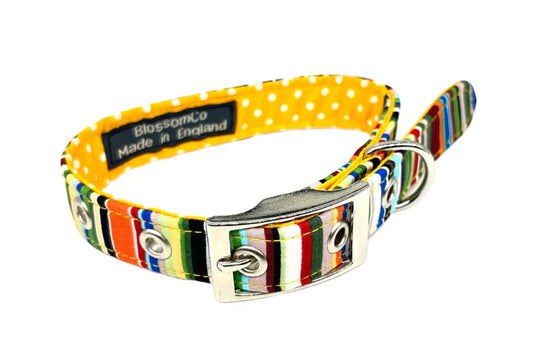 Blossom and Co Dog Collars and Lead Rock Collection