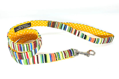 Blossom and Co Dog Collars and Lead Rock Collection