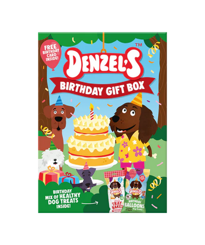 Denzel's Birthday Gift Box for Dogs