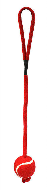 Dog Life Tennis Ball on Rope